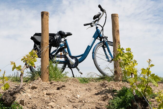 E-Bike Burgundy Tour With Tastings and Lunch From Beaune or Dijon - Good To Know
