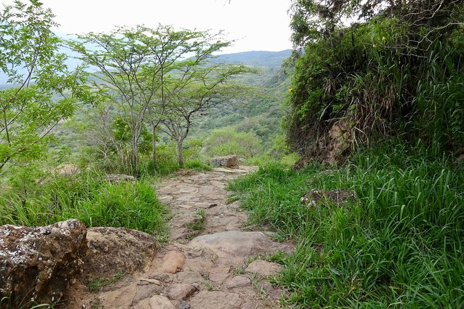 Eco Walk: The Royal Road To Cabrera - Good To Know