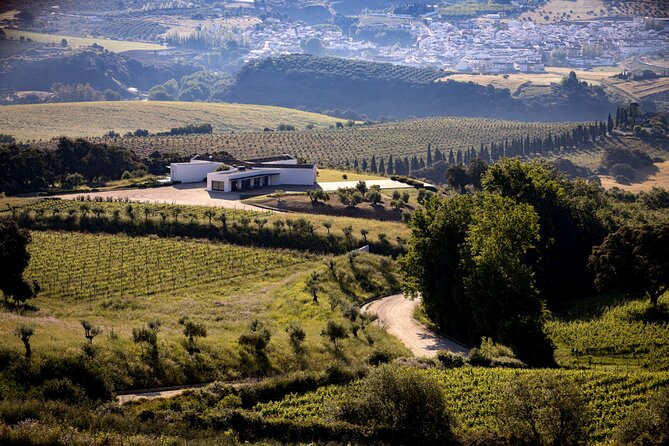 Ecological Tour of the Winery in Ronda With Tasting - Good To Know