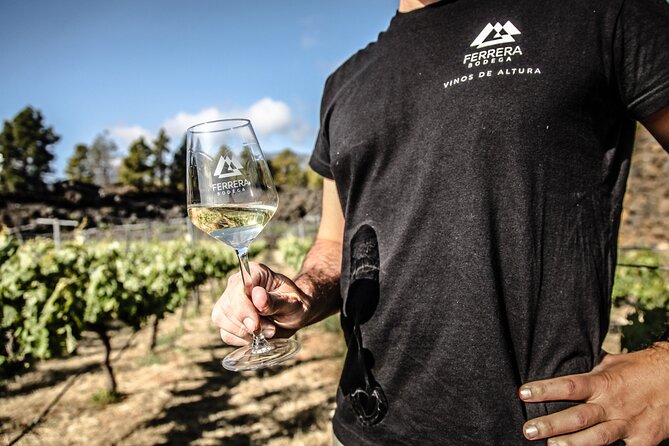 Ecological Vineyard Tour With Wine Tasting - Good To Know