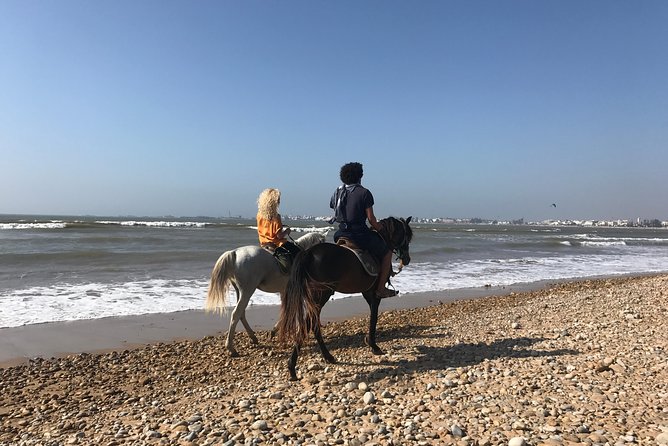 ESSAOUIRA 1 Day Private Trip From Marrakech - Good To Know