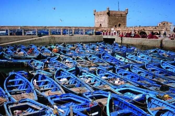 Essaouira Day Trip From Marrakech - Good To Know