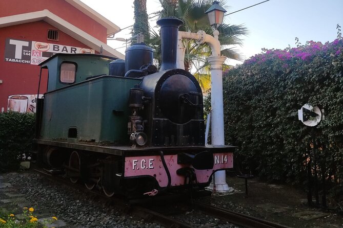 Etna Journey By Little Train, Pistacchio and Wine Experience. Enjoy Our Sicily - Good To Know