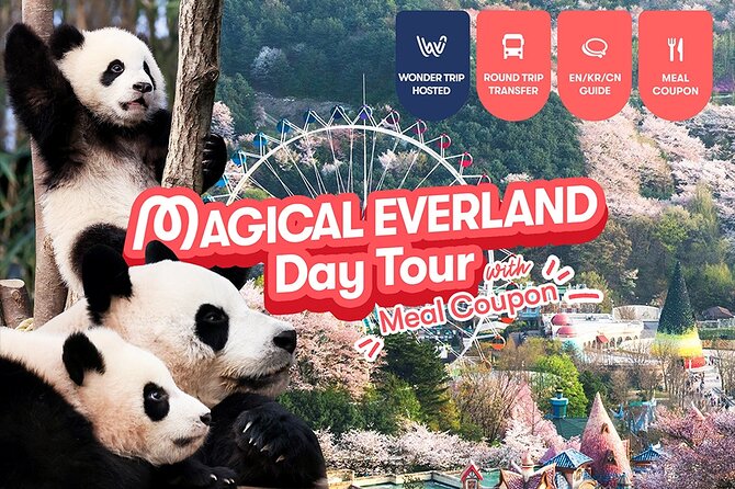 Everland Transfer + Admission Ticket With Meal Coupon - Good To Know