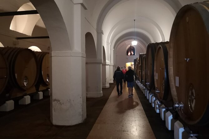 Évora and Reguengos De Monsaraz Private Tour - Good To Know