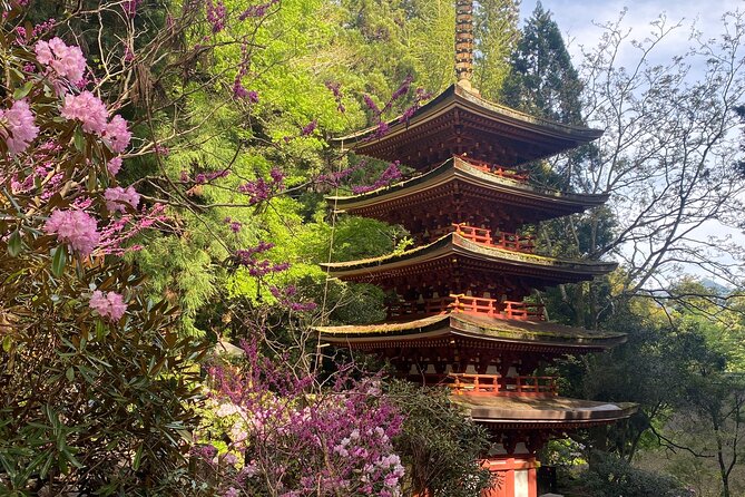 Exclusive Luxury Day Tours Serene Nara - Good To Know