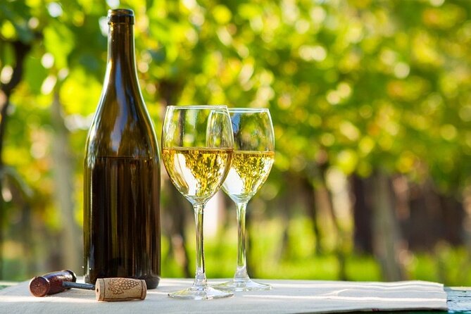 Exclusive Vinho Verde Alvarinho and Minho Region Wine Tour - Good To Know