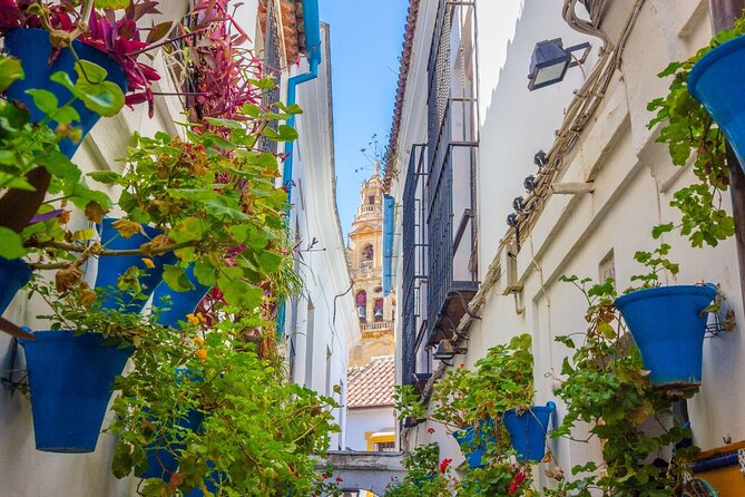 Excursion to Córdoba From Malaga - Good To Know