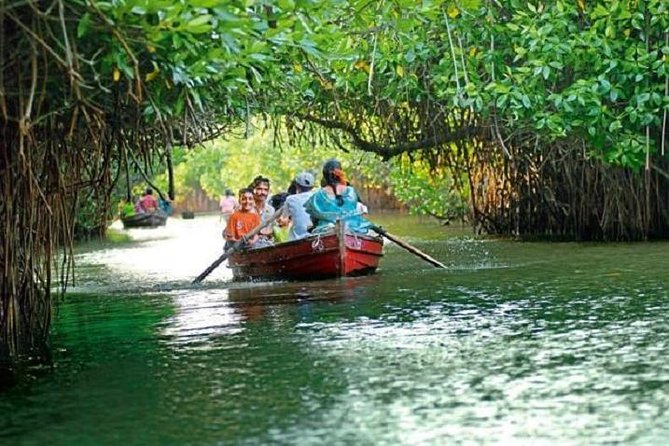 Excursion to Pichavaram Mangrove & Nataraja Temple Chidambaram From Pondicherry - Good To Know