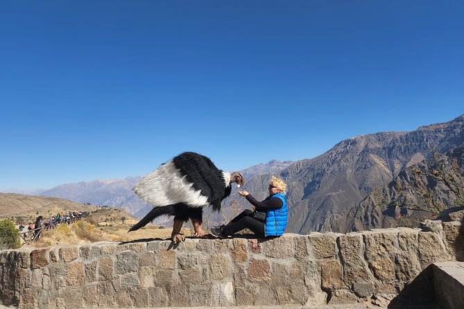 Excursion to the Colca Canyon in One Day - Good To Know
