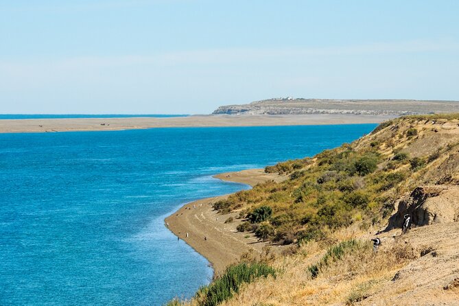 Excursion to the Valdés Peninsula From Puerto Madryn - Good To Know