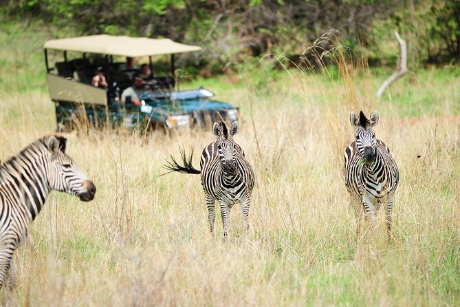 Experience Victoria Falls and Chobe National Park (4 Days Trip) - Good To Know