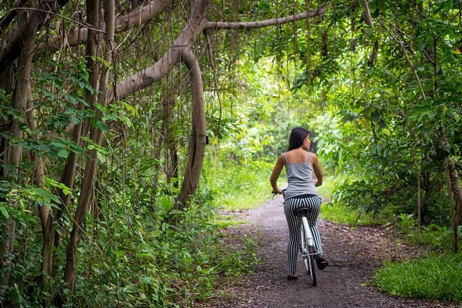 Explore Bangkok's Best Parks on Two Wheels - Good To Know