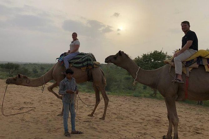 Explore Jaisalmer City Tour With Camel Safari - Good To Know