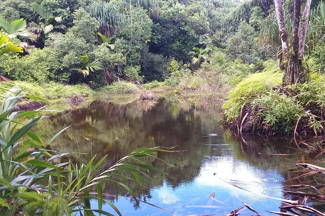 Explore Mare Aux Cochons Trail - Good To Know