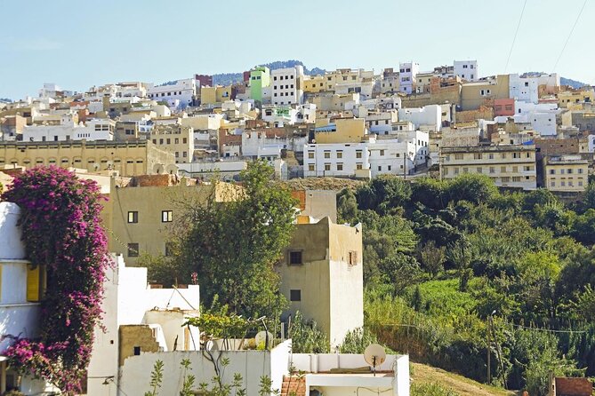 Explore Morocco Imperial Cities Rabat to Marrakech 9 Days - Good To Know