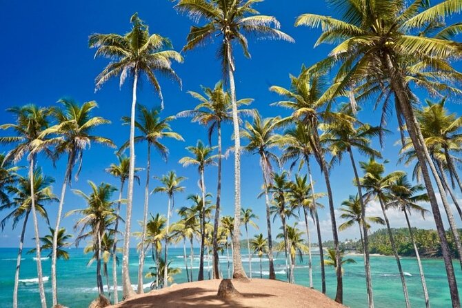Explore the Southern Coast of Sri Lanka With Mr.Tuk Tuk - Good To Know