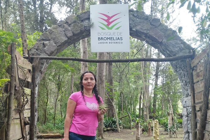 Explore the World of Bromeliads - Plant Observation - Good To Know