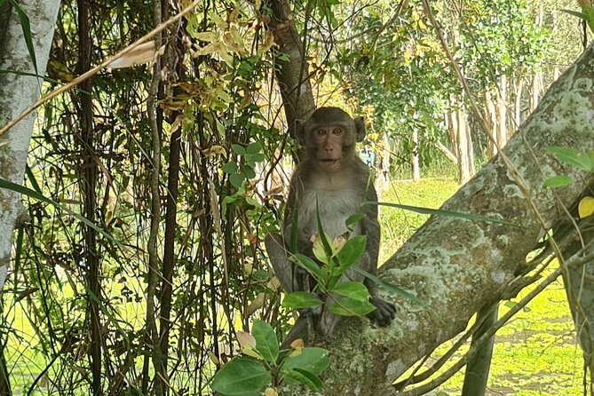 Explore U Minh Thuong Forests - Good To Know
