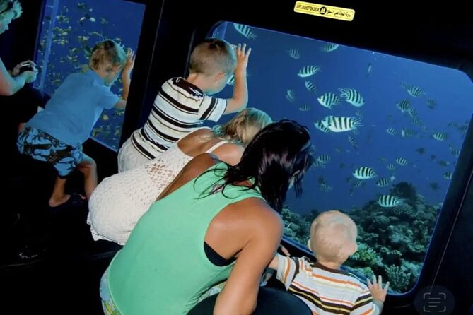 Explore Underwater in a Sea Scope Trip in Sharm El-Sheikh - Good To Know