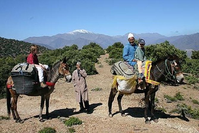 Family Day Trip to the Berber Villages of the Atlas Mountains - Good To Know