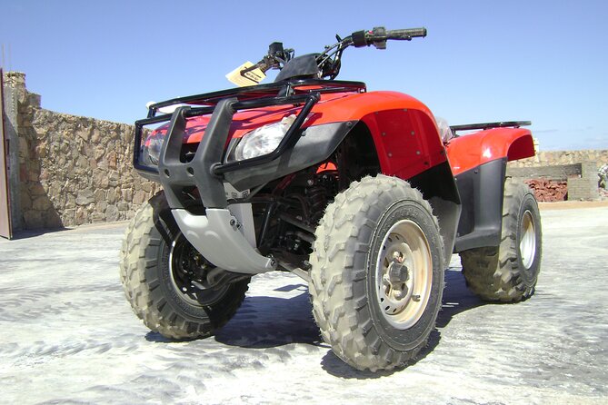 Family Safari Experience in Hurghada Buggy & ATV - Good To Know