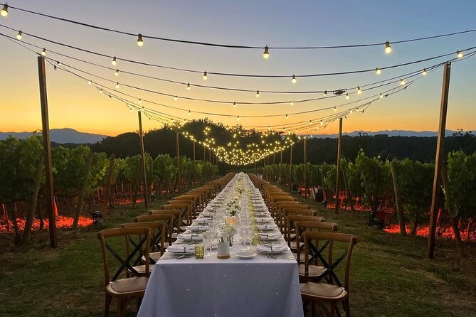 Farm to Table Experience on an Organic Hilltop Estate in Tuscany - Good To Know