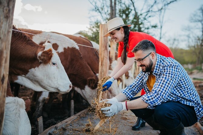 Farm Tour With Cheese Making Class In ​​​​​​​Castelfranco Emilia - Good To Know