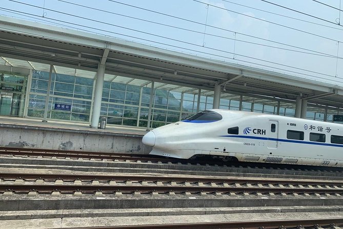 Fast Train Ticket From Guangzhou to Hong Kong With Station Transfer in Guanghou - Good To Know