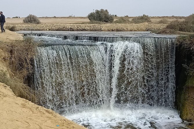 Fayoum Oasis:4x4 Safari,Wadi of the Whales,waterfalls,Sandsurfing - Good To Know