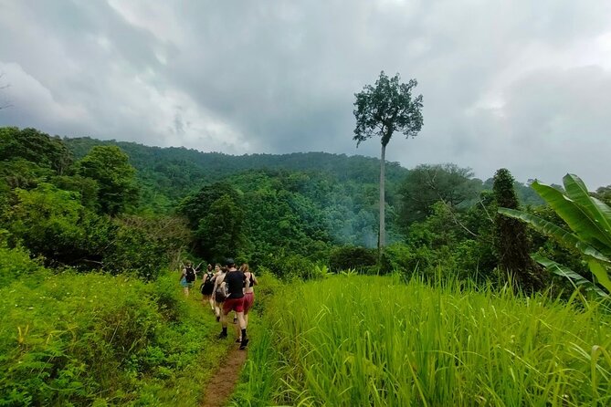 FD Chiang Mai Elephant Sanctuary, Trekking & White Water Rafting