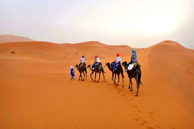 Fes Guided Desert Tour to Marrakech in 3 Days - Good To Know