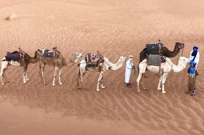 Fes to Fes 2 Days Private Desert Tour - Good To Know