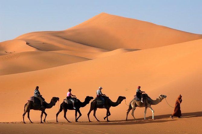Fes to Fes via Merzouga Desert Tour and Camel Trekking 3 Days - Good To Know
