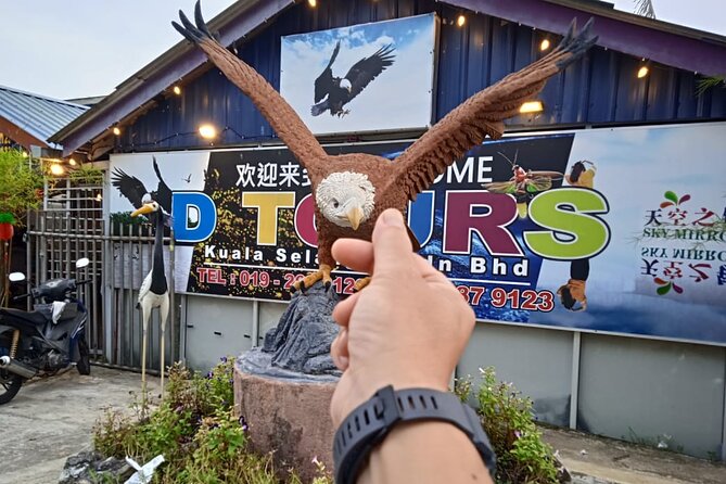 Fireflies Kuala Selangor - Good To Know