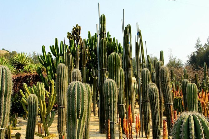 Flexible Xiamen Private Half Day Tour to Experience Xiamen Botanical Garden - Good To Know