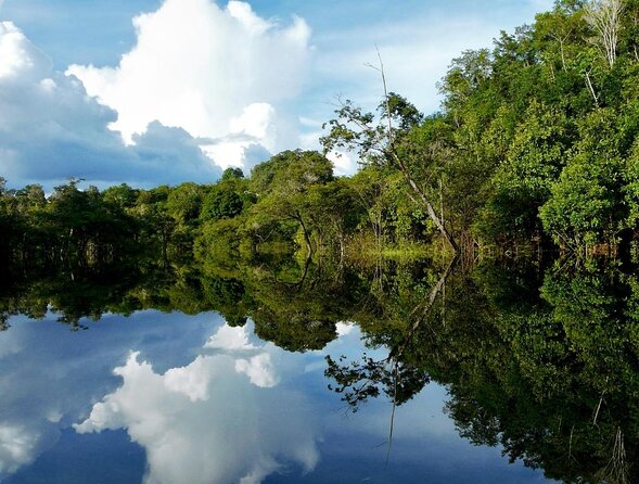 Floating at Sucuri River - Good To Know