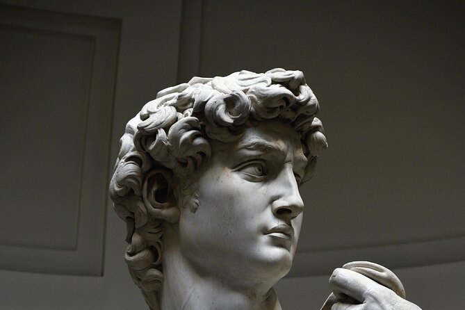 Florence:Accademia Gallery Ski the Line Private Guided Tour - Ticket Inclusions