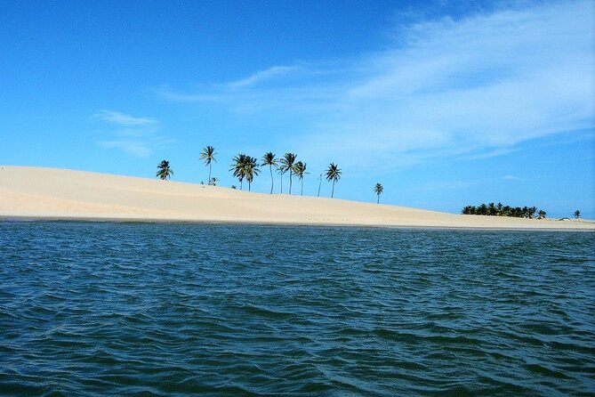 Foz Do Rio São Francisco Tour From Maceió - Good To Know