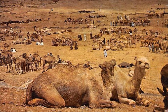 From Agadir/Agdz/Merzuga/Boumalne/Marrakesh/Essaouira/Agadir - Good To Know