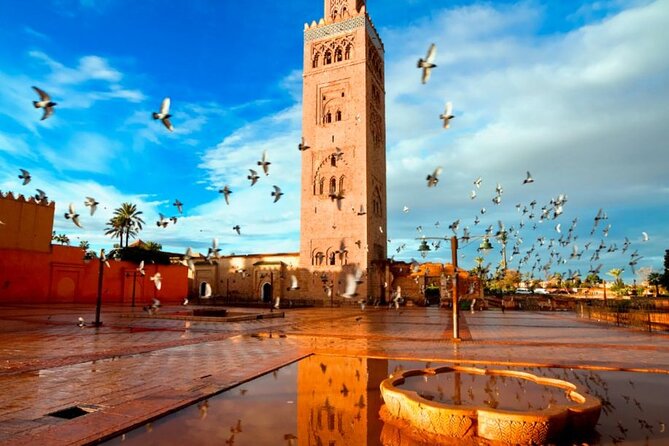 From Agadir Guided Day Trip to Marrakech &Umkletterziegen - Good To Know