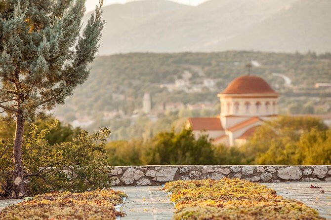 From Argostoli: Private Wine Tasting & Vineyard Tour - Good To Know