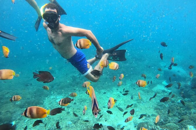 From Bali One Day Nusa Penida Tours With Manta Rays Snorkeling - Good To Know