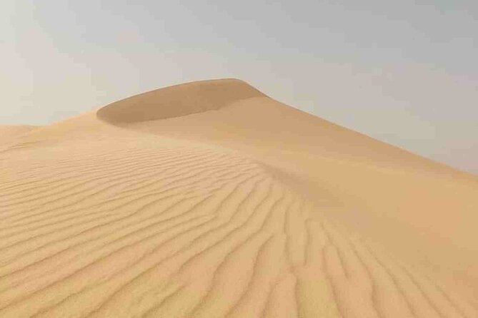 From Cairo to Siwa 2 Days One Night - Good To Know