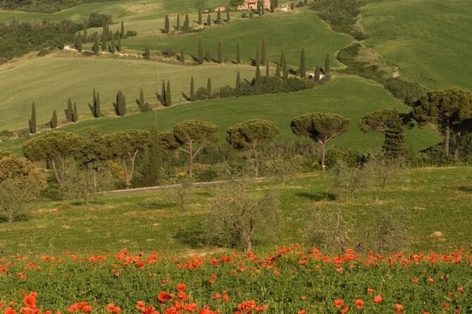 From Florence to Tuscany Winerys - Good To Know