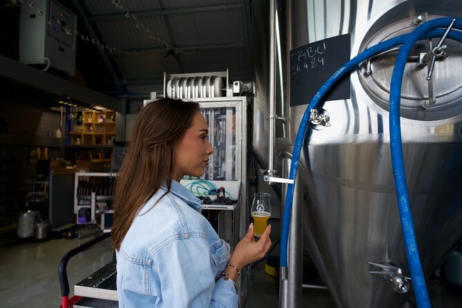 From Ljubljana: All About Beer - Pickup Details and Start Time