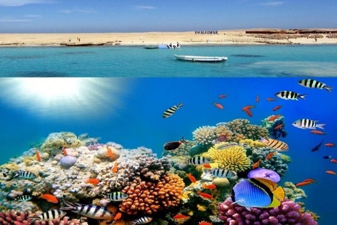 From Luxor to Safaga on the Beach