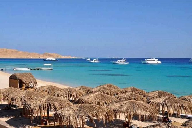 From Luxor : Utopia Island Royal Snorkeling - Good To Know