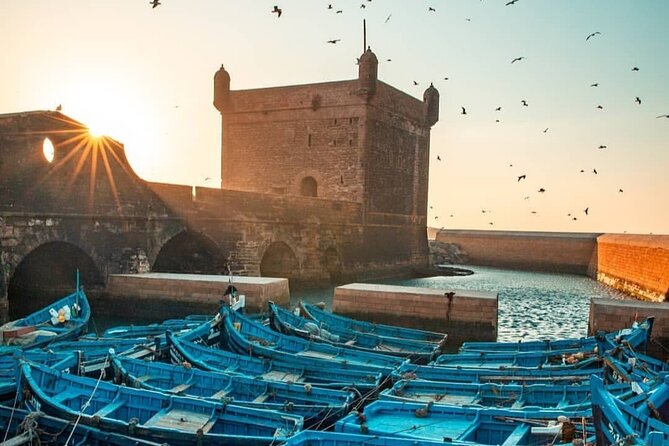 From Marrakech: Full-Day Tour to Essaouira (Private) - Tour Overview