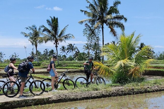From Ubud Electric Bike Bali Countryside Ubud Tegalalang - Good To Know